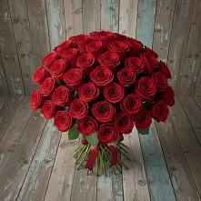 Букет 55 Красных роз Фридом #REPLACE_PRED# Гусь-Железном