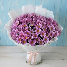 Букет цветов из:  Хризантемы в Гусь-Железном