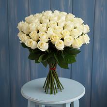 Букет 51 Белая роза Эдлесс Лав в Гусь-Железном