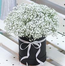 Цветочная композиция из Гипсофила в шляпной коробке #REPLACE_PRED# Гусь-Железном