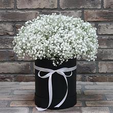 Цветочная композиция из Гипсофила в шляпной коробке в Гусь-Железном