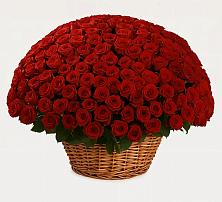 Премиум букет из: Розы в Гусь-Железном